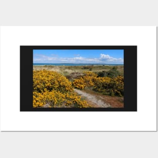 Gorse Posters and Art